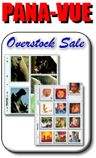 Pana-Vue Overstock Sale
